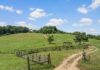 Single Family Home with 14.19 Acres in Russellville, Alabama