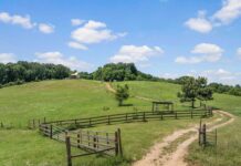 Single Family Home with 14.19 Acres in Russellville, Alabama