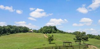 Single Family Home with 14.19 Acres in Russellville, Alabama