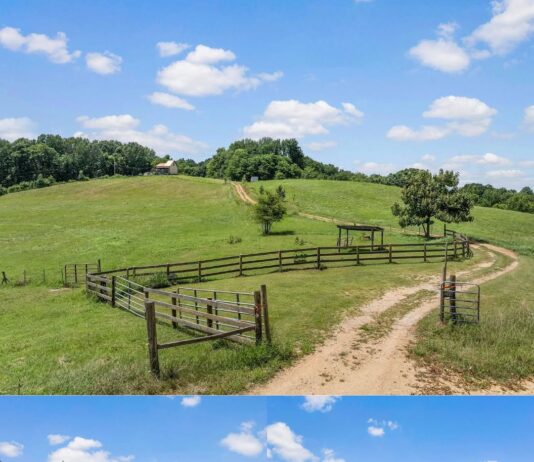 Single Family Home with 14.19 Acres in Russellville, Alabama