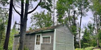 Cozy Cabin Woodland Retreat $29,900