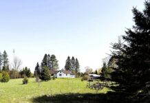 Single Family Home with 11 Acres in Butternut, Wisconsin