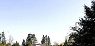 Single Family Home with 11 Acres in Butternut, Wisconsin