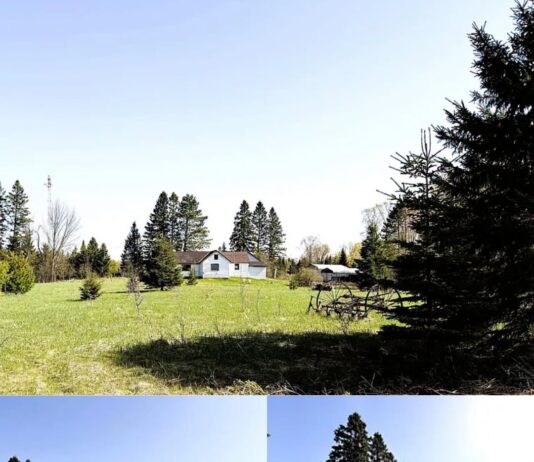 Single Family Home with 11 Acres in Butternut, Wisconsin