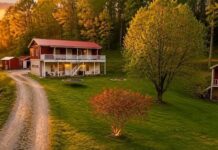 Country Home with 52 Acres in Salyersville, Kentucky