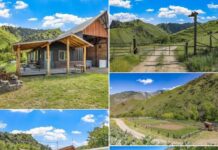 55.18-Acre Country Property with Home in Lucile, Idaho