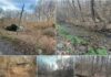 Land with 144 Acres in Rose Hill, Virginia