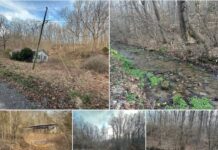 Land with 144 Acres in Rose Hill, Virginia