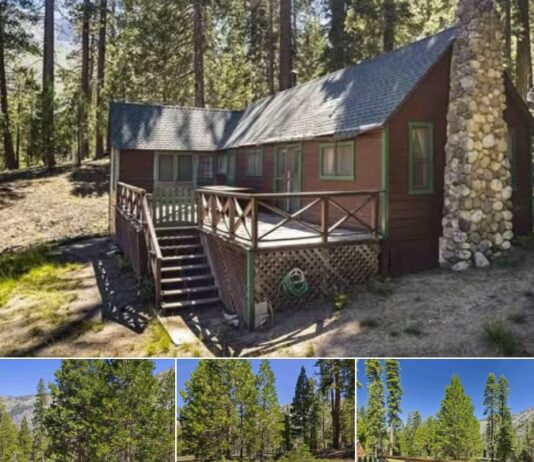 Amazing 2 Bedroom Cabin