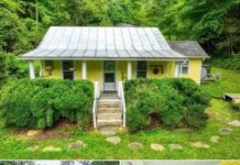16 acres! Mountain cottage fixer upper in North Carolina. $219,000