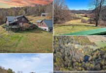 Log Cabin Farm with 59.91 Acres in Lost Creek, West Virginia