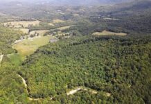 Unrestricted Land with 80 Acres in Strunk, Kentucky