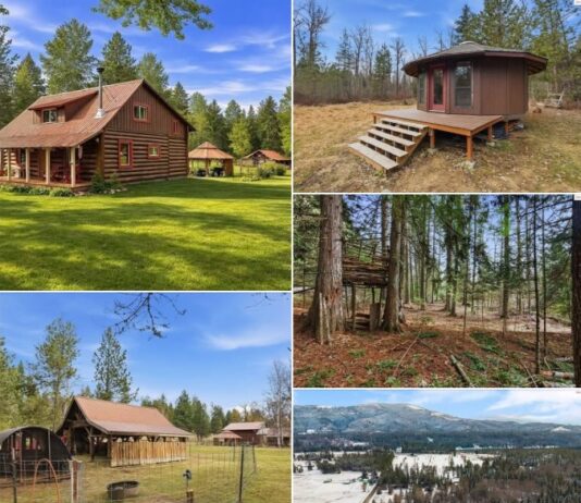 Home with 5 Acres in Priest River, Idaho