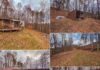 Cabin with 14.08 Acres in Pennsboro, West Virginia