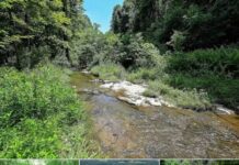 46.91 Acres