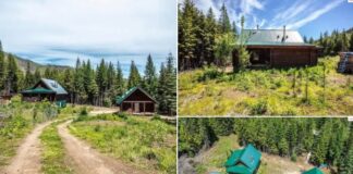 Two Homes with 20 Acres in Priest River, Idaho
