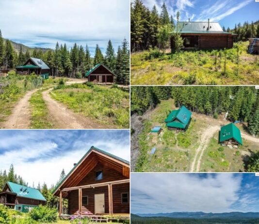 Two Homes with 20 Acres in Priest River, Idaho