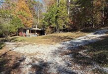 Cabin with 75 Acres in Irvine, Kentucky