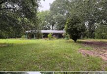 3 beds 1 baths 1,800 sqft