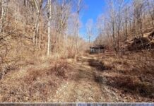 Unspoiled 200-Acre Kentucky Retreat with Creek, Trails & Mineral Rights