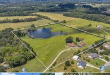 Ranch-Style Home with 15 Acres in Trinity, Alabama
