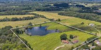 Ranch-Style Home with 15 Acres in Trinity, Alabama