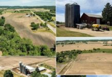 81± Acre Farm & Recreational Land – Online Auction $50,000