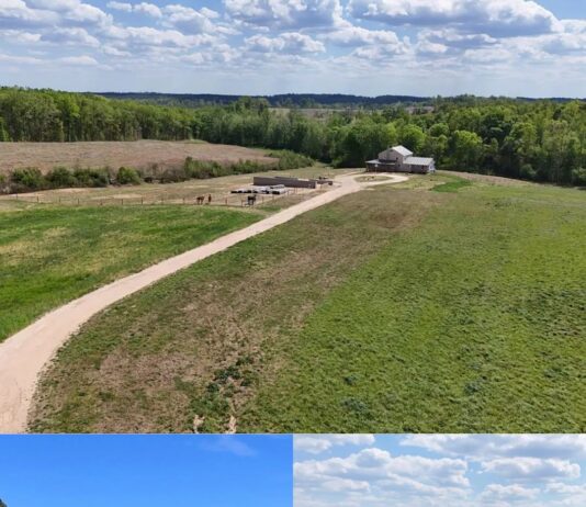 Country Home with 55 Acres in Phenix, Virginia
