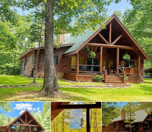 Secluded 16-Acre Log Home Retreat in Poplar Bluff