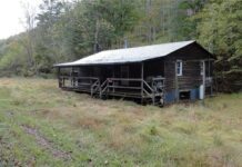 Cabin with 24.9 Acres in New Martinsville, West Virginia