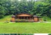 A Peaceful Country Retreat with Acreage, Creek Views, and Convenient Access