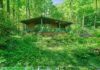 Cozy Country Bungalow on 1 Acre – Privacy, Updates & Potential