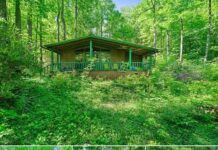 Cozy Country Bungalow on 1 Acre – Privacy, Updates & Potential