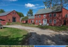Vintage Farmhouse Haven for Horses and Homesteading