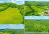Land with 77.31 Acres in Manchester, Kentucky