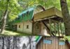 Off Grid Woodland Retreat in Richburg
