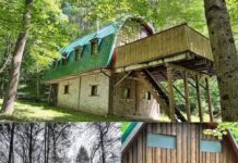 Off Grid Woodland Retreat in Richburg