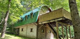 Off Grid Woodland Retreat in Richburg