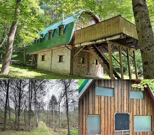 Off Grid Woodland Retreat in Richburg