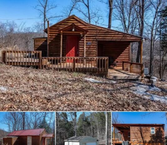 18.44 Acres Lot