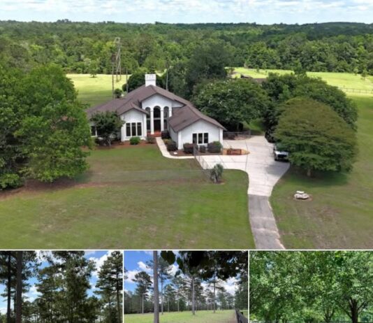 25-Acre Homestead