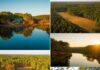Home with 1,544 Acres in Macon, Georgia