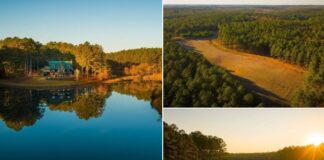 Home with 1,544 Acres in Macon, Georgia