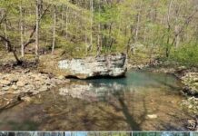 Off-Grid Ozarks Retreat with Creek & Scenic Cabin Site