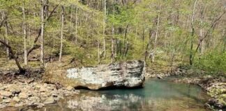 Off-Grid Ozarks Retreat with Creek & Scenic Cabin Site