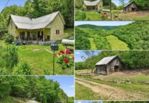 56 Acres of Tennessee Privacy, Farmland & Hunting Adventure