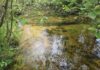 Acreage Land with 231 Acres in McMillan, Michigan