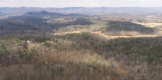 Land with 71.68 Acres in Ferrum, Virginia
