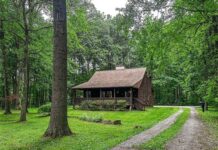 Log Cabin with 1.77 Acres in Girard, Ohio