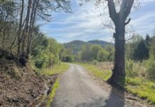 Land with 137 Acres in Barbourville, Kentucky